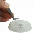 Disposable Glue Palette for Eyelash Extensions - 10 units thumbnail